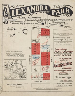 Image Alexandra Park  [1900?]