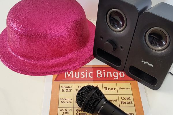 Bingo Bonanza