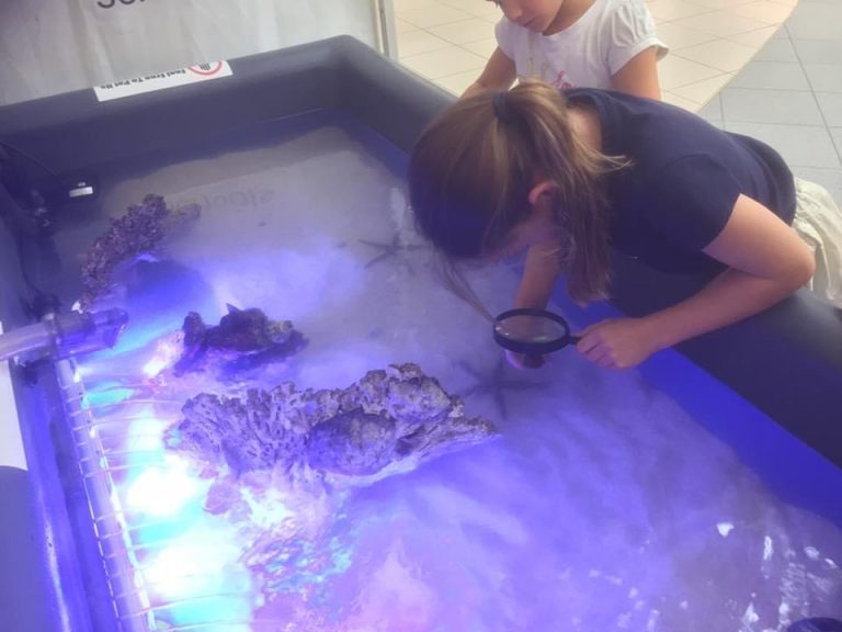 Aquatic Ecosystems with Critters Up Close