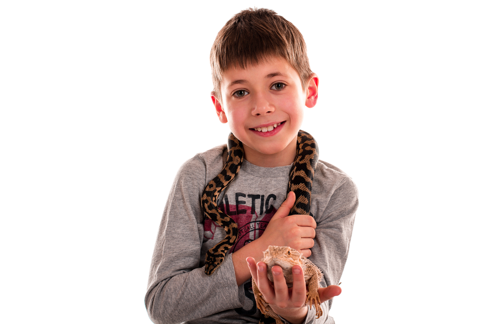 Critters Up Close Reptile Experience