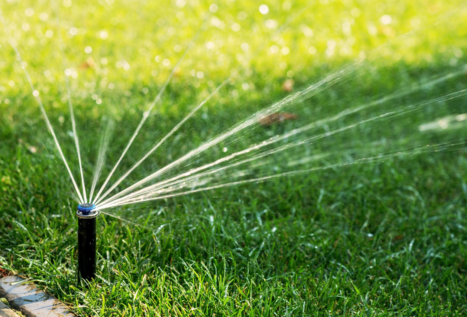 Waterwise Gardening Soil health that saves water