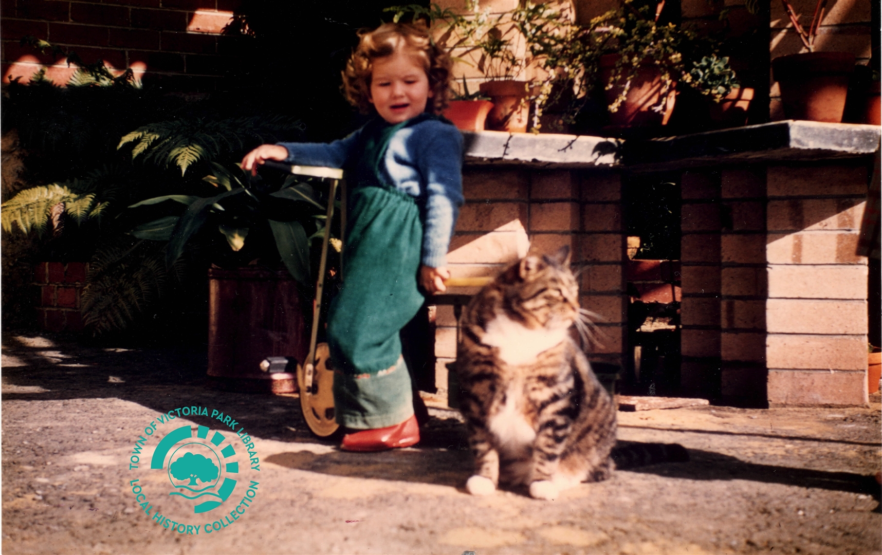PH00043-14 Kaye Stewart near fernery 107 Westminster St with Peter the cat, c. 1959 Image
